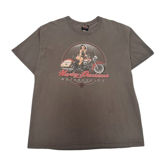 Harley Davidson Niagara Falls Graphic Tee XL - Picture 1 of 5